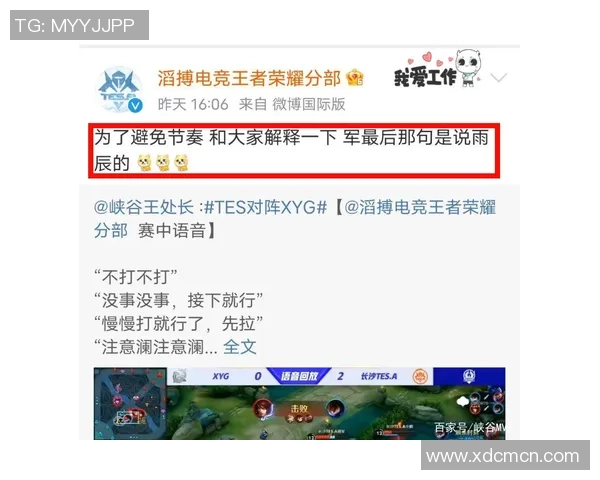 TES战术解析:深度剖析王者荣耀防反体系的运用与策略