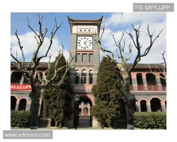 上海乒乓球队奋斗历程的真实记录与背后故事分享